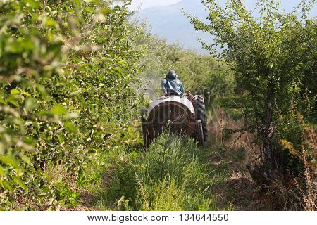 air blast sprayer with a chemical insecticide or fungicide in the orchard