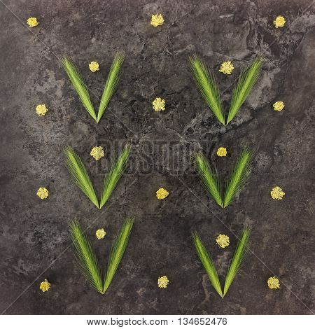 Colorful bright pattern made of linden flowers and spikelets. Flay lay top view