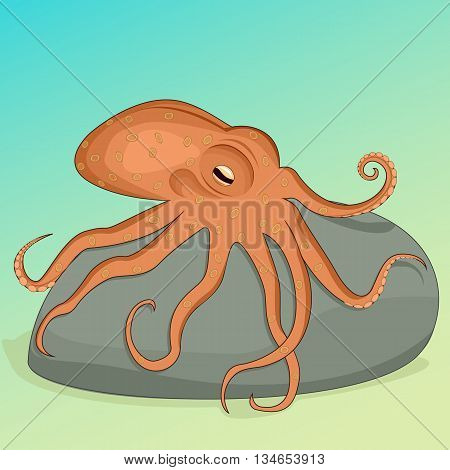 Spotted Octopus on a gray stone on the bottom