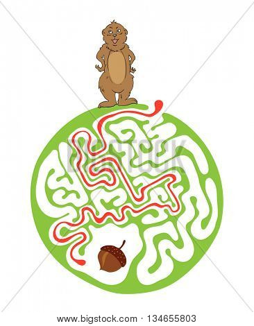 Maze puzzle for kids with Marmot and Nut. Labyrinth illustration, solution included.