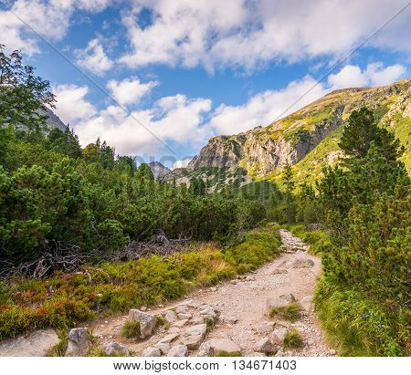 Hiking Trail in the Mountains on Sunny Day. Mlynicka Valley High Tatra Slovakia.