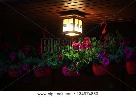 ceiling square lamp illuminating with warm light near pink flowers hanging in pots