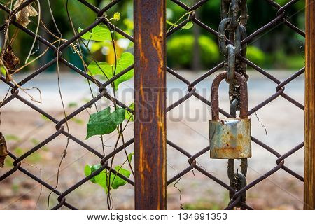 Old Master Key Rustry In Soft Light