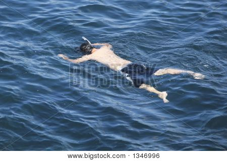  Snorkler