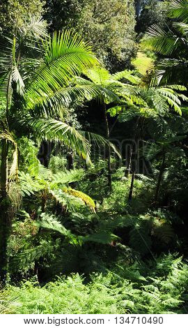 Rayol Canadel sur Mer France - april 18 2016 : the estate Rayol garden in spring
