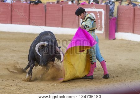 Andujar Spain - September 10 2010: The Spanish Bullfighter El Fundi bullfighting with the crutch in the Bullring of Andujar Spa