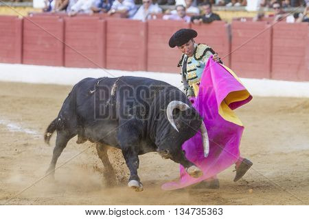 Andujar Spain - September 10 2010: The Spanish Bullfighter El Fundi bullfighting with the crutch in the Bullring of Andujar Spa
