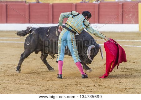 Andujar Spain - September 10 2010: The Spanish Bullfighter El Fundi bullfighting with the crutch in the Bullring of Andujar Spa