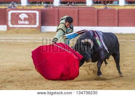 Andujar Spain - September 10 2010: The Spanish Bullfighter El Fundi bullfighting with the crutch in the Bullring of Andujar Spa