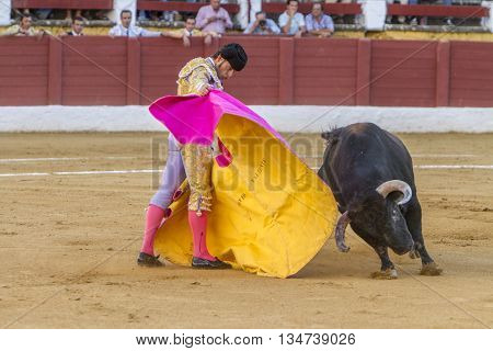 Andujar Spain - September 11 2010: The Spanish Bullfighter David Valiente bullfighting with the crutch in the Bullring of Andujar Spain