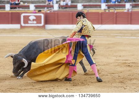 Andujar Spain - September 10 2009: The Spanish Bullfighter Juan de Felix bullfighting with the crutch in the Bullring of Andujar Spain