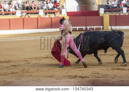 Andujar Spain - September 11 2009: The Spanish Bullfighter Morante de ls Puebla bullfighting with the crutch in the Bullring of Andujar Spain