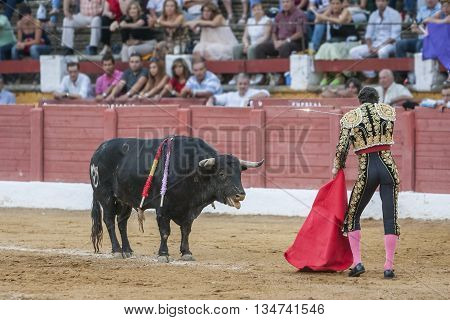 Andujar Spain - September 10 2010: The Spanish Bullfighter Finito de Cordoba preparing to enter to kill the bull in the Bullring of Andujar Spain