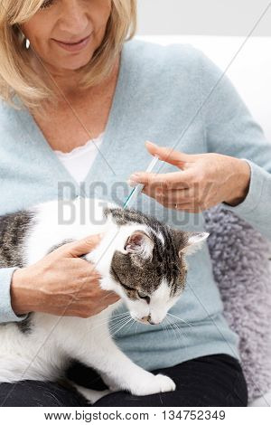 Woman Applying Tick And Flea Treatment To Pet Cat