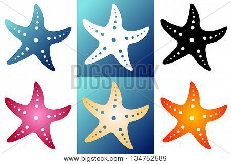 Set six multi-colored silhouette starfish on a white and blue background. Blue, white, black, red, beige and orange silhouette starfish.