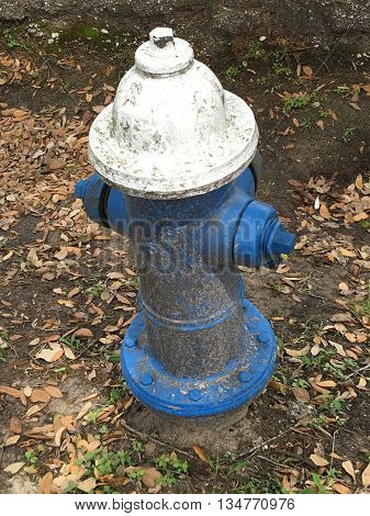 Fire plug by the street surrounded with leaves and dirt.