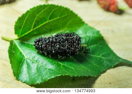 black mulberry on green leave on wood