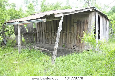 Falling down old shack in a field.