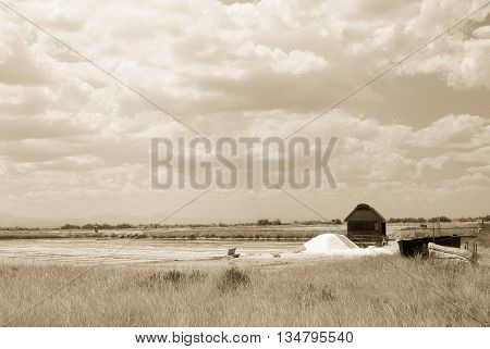 salt of Cervia in italy in summer