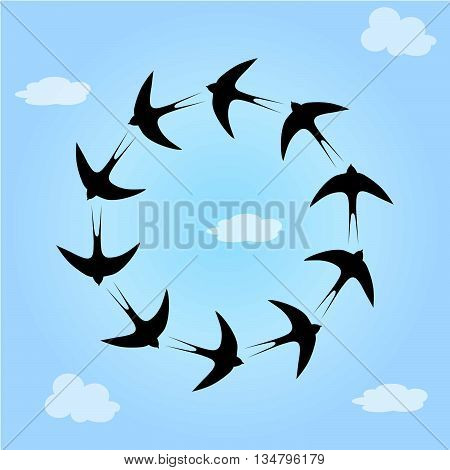 Pattern with swallow birds in sky. Vector illustration