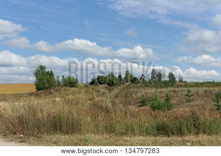 Summer, field, country road, clouds fly across the blue sky