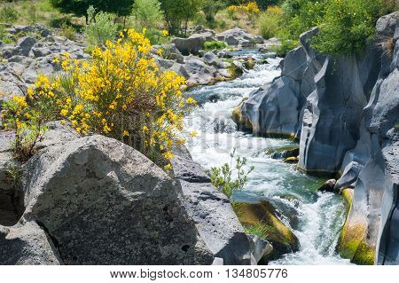 Alcantara River Reserve