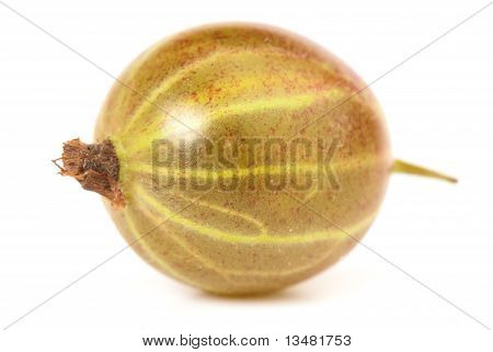 Agrest Grossularia, Eatberry,