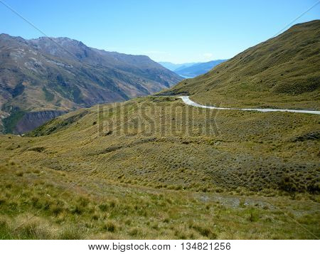 Road in New Zealand mountains and native grasses