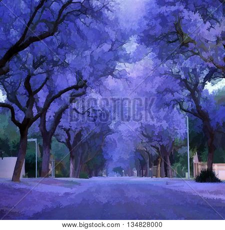 Purple flowers, jacaranda bloomed. Violet jacaranda tree alley.