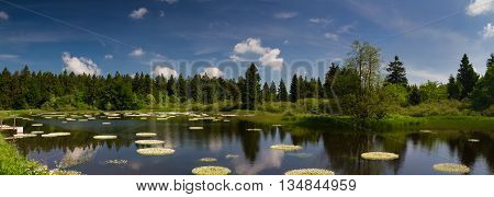 Marsh and pond at the Vogelsberg mountain range Hessen Germany