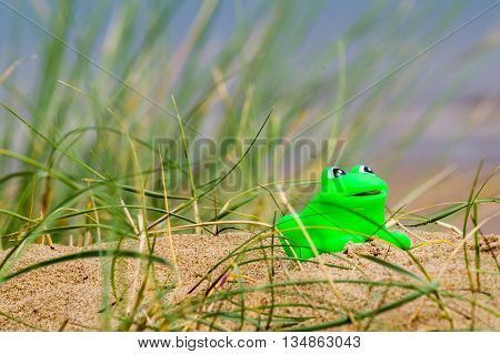 A green plastic frog toy on coastal sanddunes