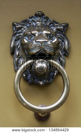 Abstract Residential Brass Lion Door Knocker London England
