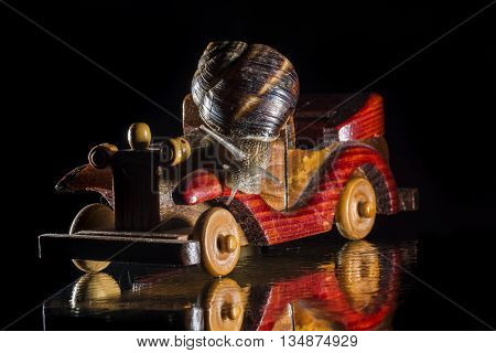Snail riding a wooden toy car isolated on black  background