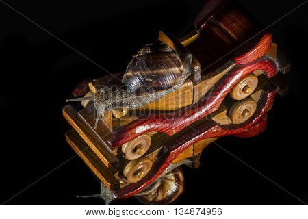 Snail riding a wooden toy car isolated on black  background