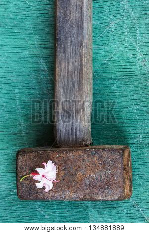 Delicate bouquet of flowers covers the heavy rough hammer. Stop the violence through love and tenderness.
