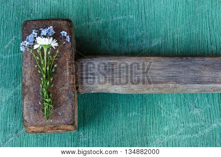 Delicate bouquet of flowers covers the heavy rough hammer. Stop the violence through love and tenderness.