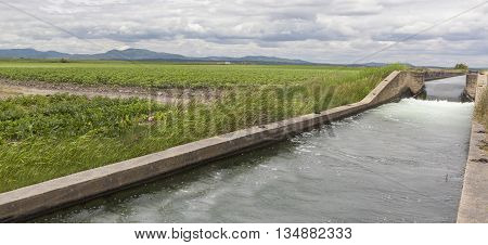 Huge irrigation canal flows over the fertile meadows of High Guadiana or Vegas Altas Extremadura Spain. Panoramic shot