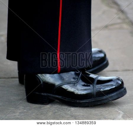 Abstract View of a Guardsman on Sentry Duty in London england