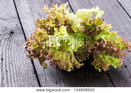 Fresh crispy lettuce and Lollo Rossa. The source of vitamins and minerals detox diet health or vegetarian food concept