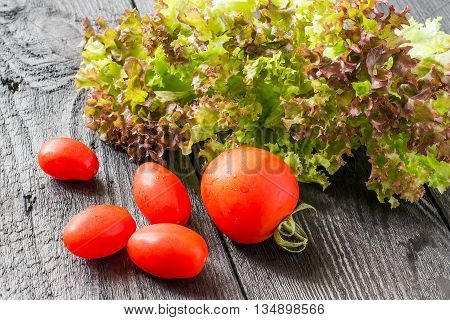 Fresh crispy purple lettuce Lollo Rossa and tomatoes. The source of vitamins and minerals detox diet health or vegetarian food concept