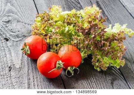 Fresh crispy purple lettuce Lollo Rossa and tomatoes. The source of vitamins and minerals detox diet health or vegetarian food concept