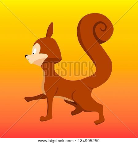 Vector orange squirrel on orange red background