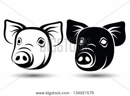 Face Pig