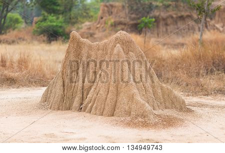 Lalu Park in Sakaeo province Thailand due to soil erosion has produced stranges shapes