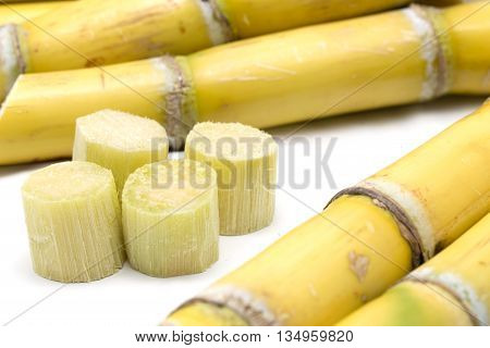 Sugarcane and pieces of sugarcane isolated on white background