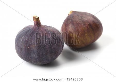 Fig