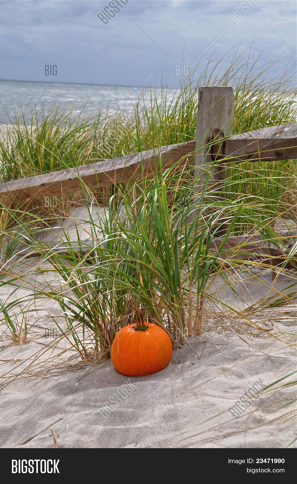 Beach Autumn Image & Photo (Free Trial) Bigstock