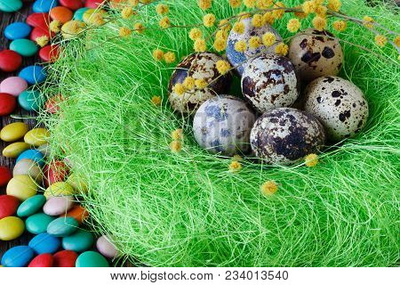 Easter Decoraton With Festive Nest Quail Eggs