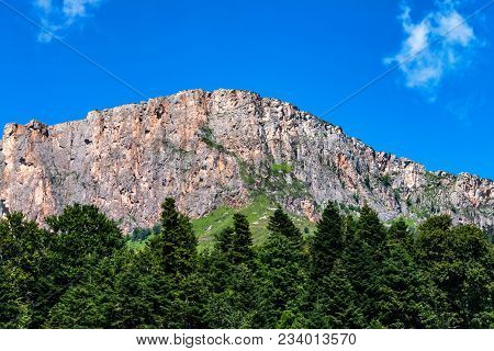 Landscape Of Subalpine Mountain Meadow And Forest In Caucasus, Russia