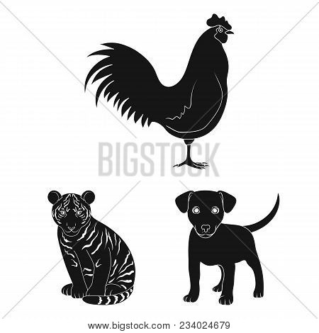 Realistic Animals Black Icons In Set Collection For Design. Wild And Domestic Animals Vector Symbol 